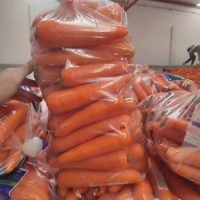 paquete-zanahoria001