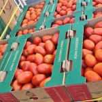 Hortalizas, frutas y verduras en Tijuana